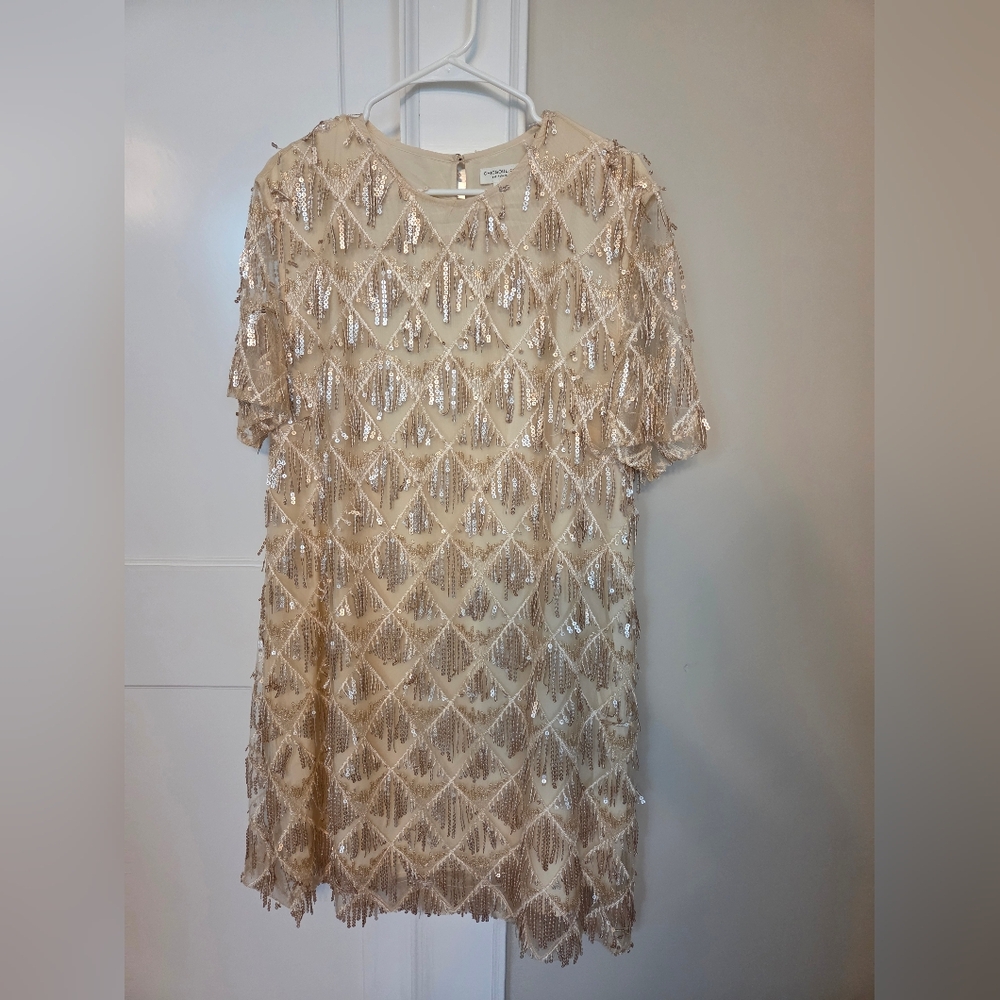 Sequin Fringe Dress NWOT